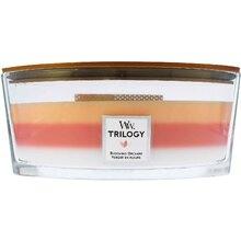 WoodWick - Blooming Orchard Trilogy Ship ( Blooming Orchard ) 453.6g