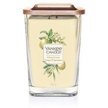 Yankee Candle - Elevation Citrus Grove Candle - Scented candle 96.0g